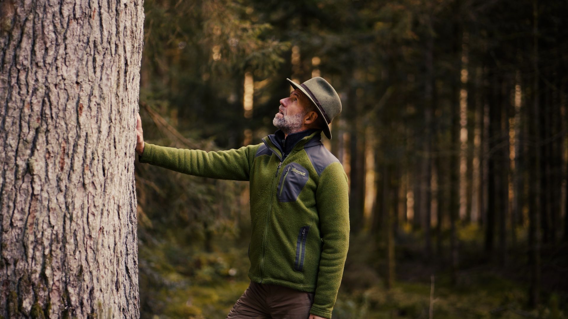 Donauquelle in Donaueschingen bei Sonnenaufgang