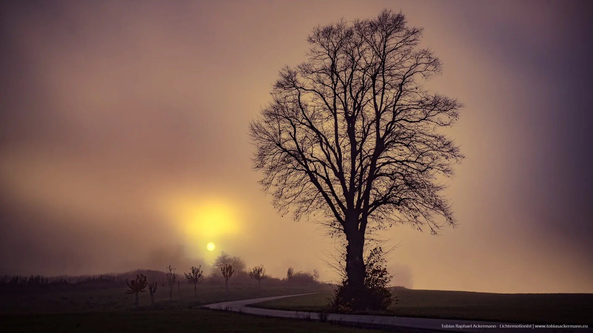 Vernebelter Sonnenuntergang
