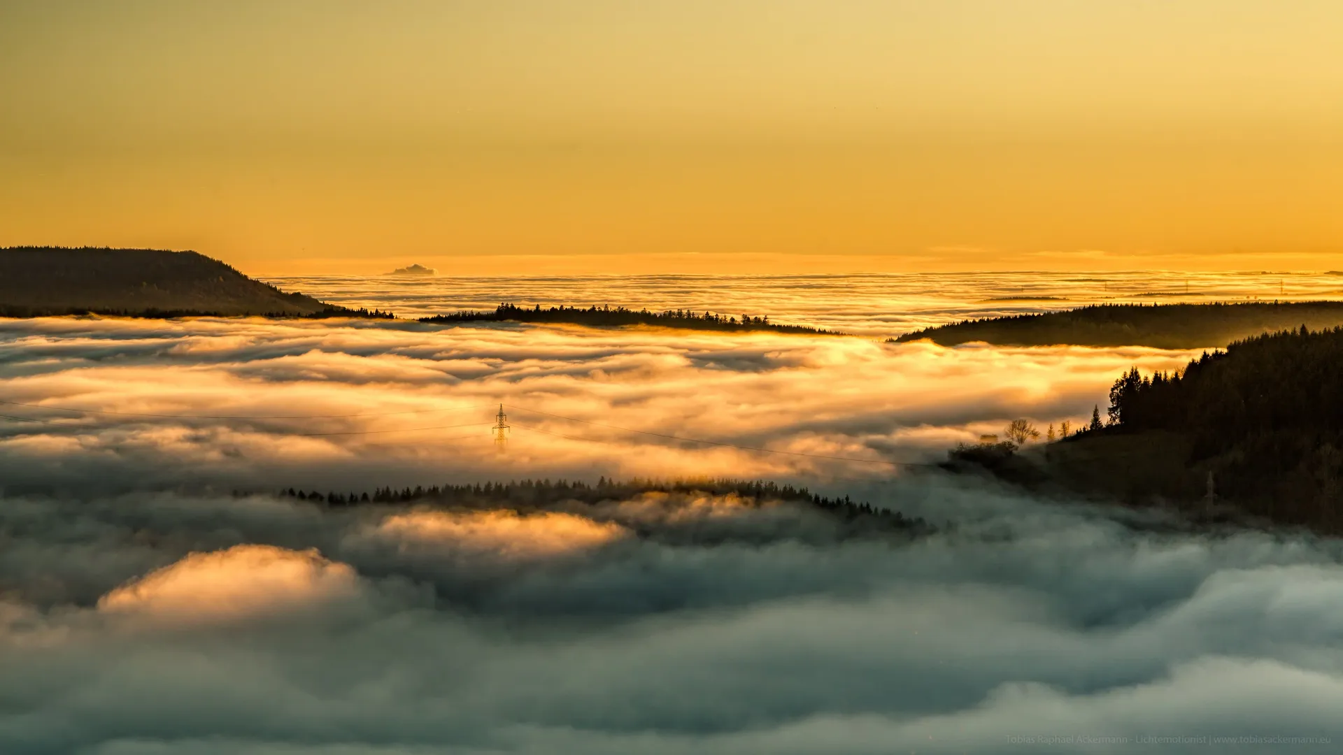 Nebellleuchten zum Sonnenutergang