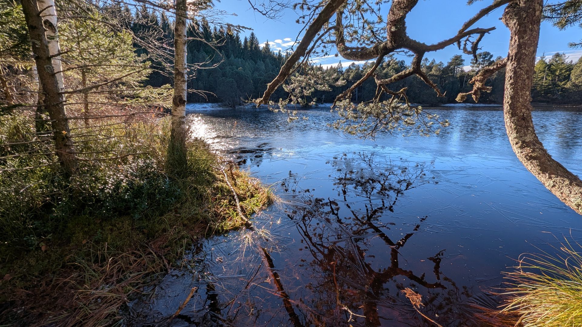 Der Blindensee – Ein Spaziergang im Schwarzwald