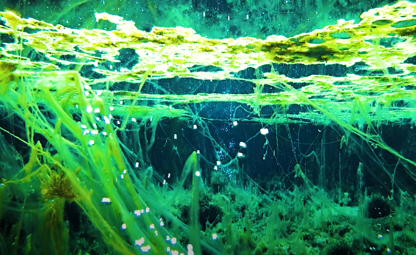 Blick unter Wasser in der Donauquelle in Donaueschingen