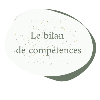 C'est une bulle dans laquelle il est écrit bilan de compétences
