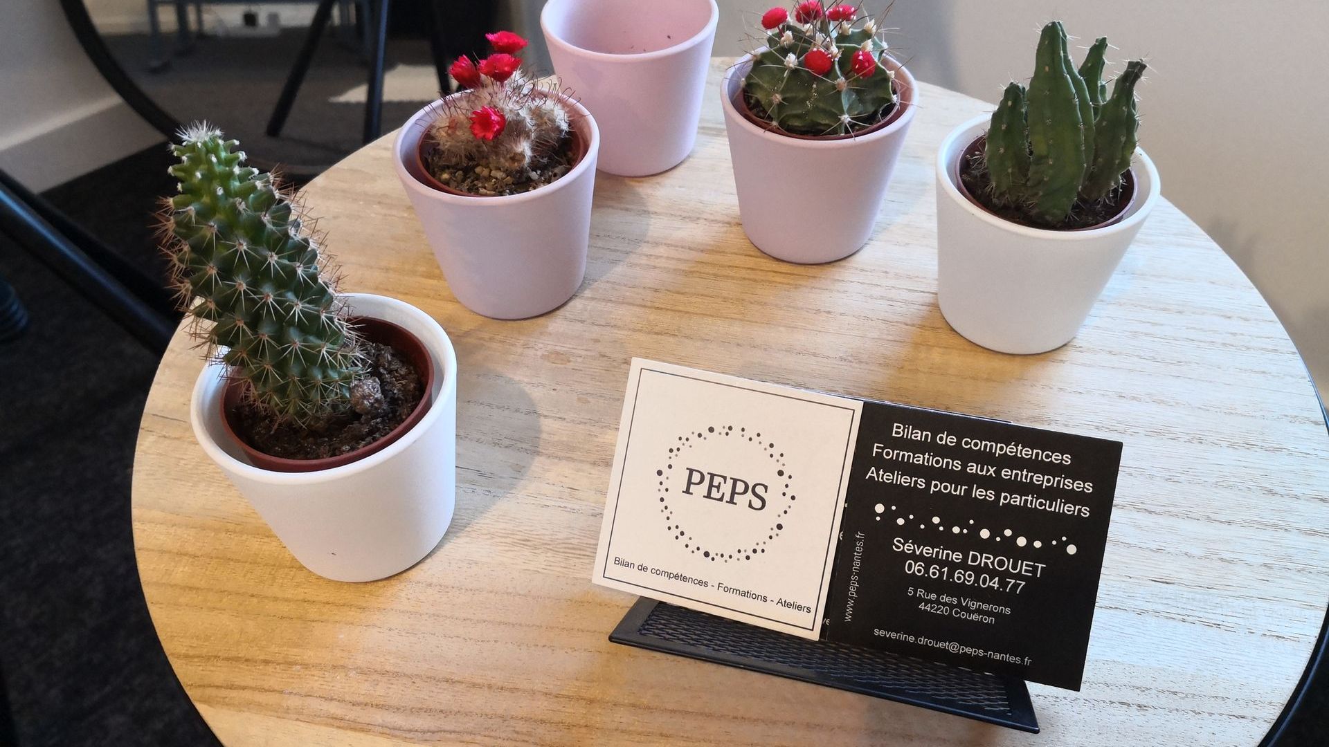 c'est une photo prise à mon bureau. Sur une petite table basse ronde il y a des petit pots de cactus de posés. Et sur un petit présentoir les cartes de visite de PEPS