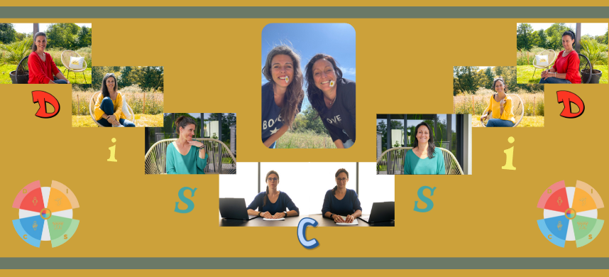 un super montage photo on on retrouve sandrine et moi. Nous avons chacune une photo qui nous représente avec un pull de la couleur du disc. Au centre une photo de nous deux avec une marguerite dans la bouche. Un pêle mêle qui donne du Pep's et annonce les couleurs du disc