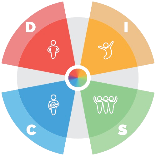 c'est le schéma du DISC qui représente les 4 couleurs du disc sous forme de camembert dans un cercle