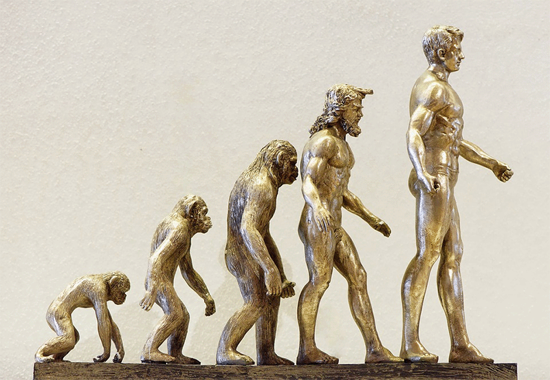 evolution-entwicklung-zukunft-affe
