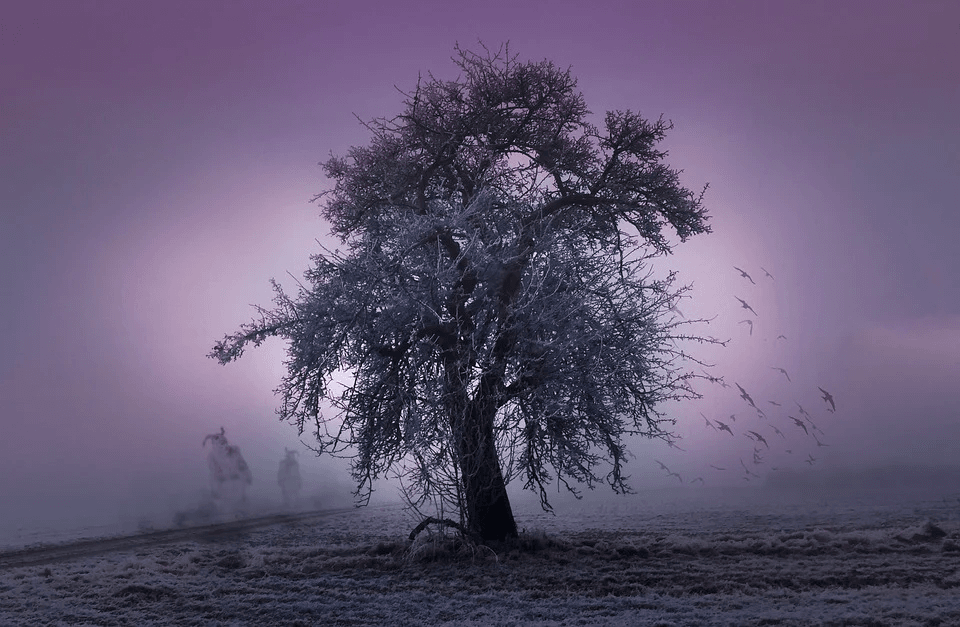 rauhnaechte-baum