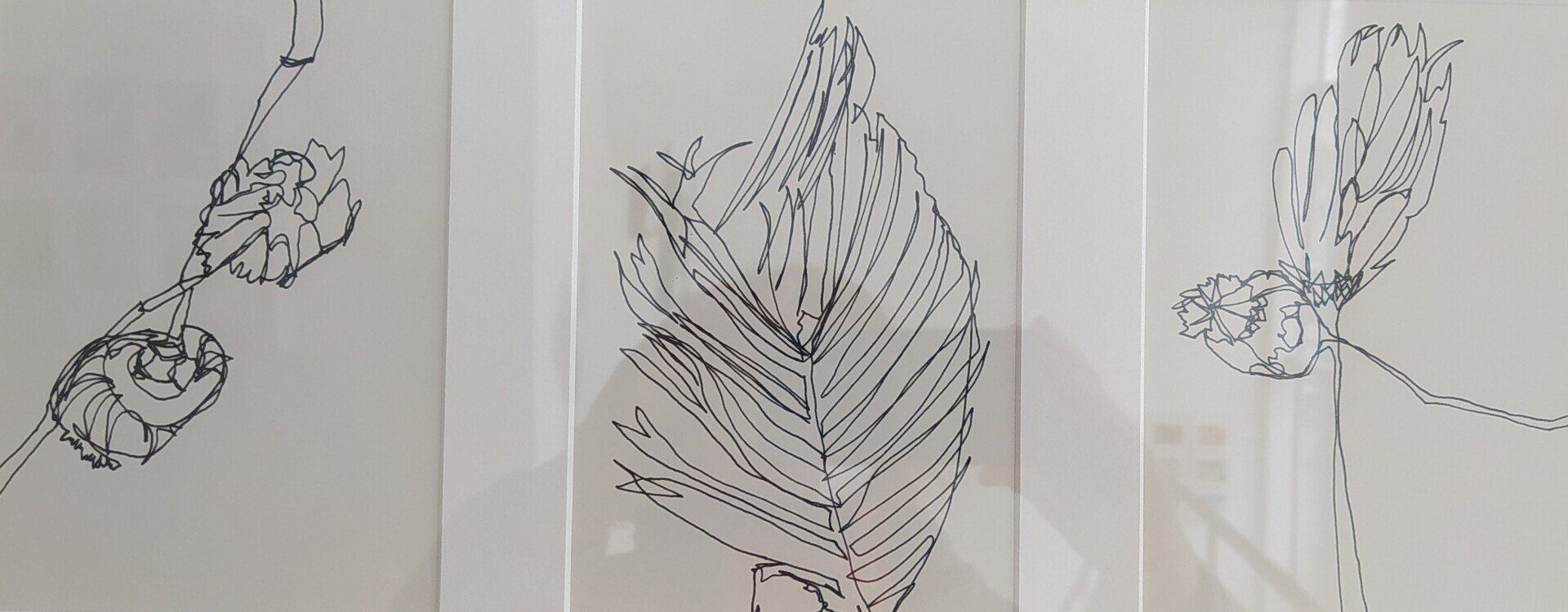 Ellen Kamrad_Translucent organics_2019
