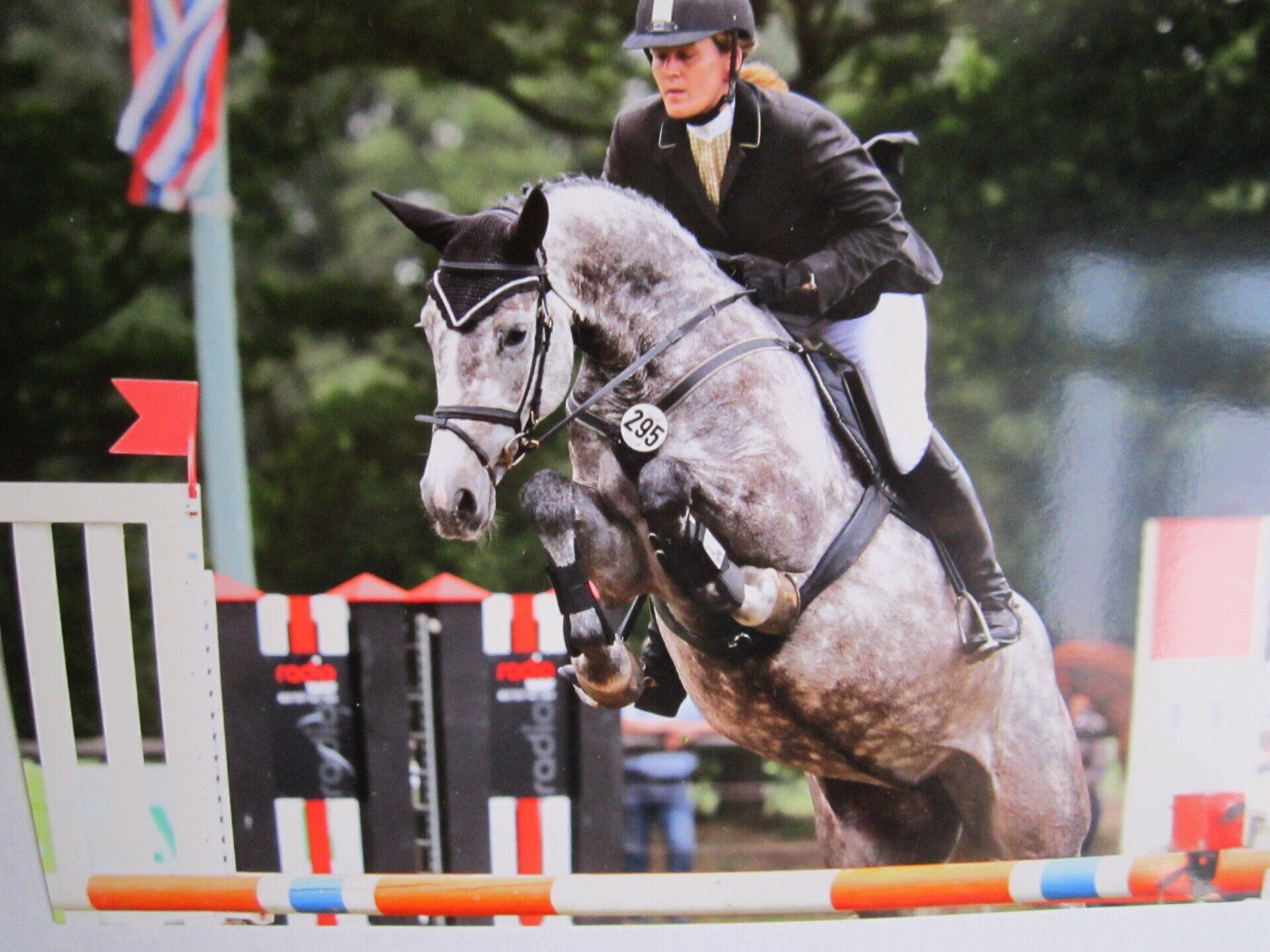 Pferdezucht Ammerland | Carmen Deitermann