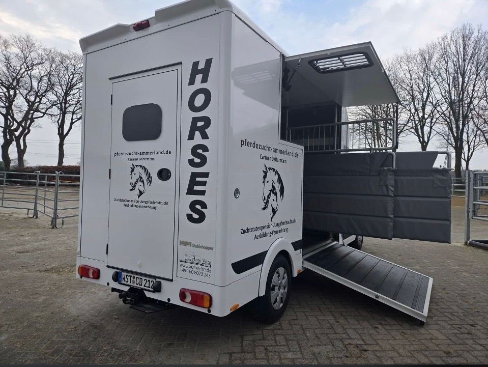 Vermietung Pferdetransporter