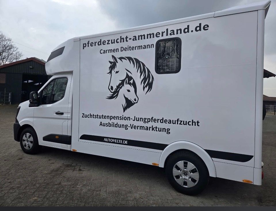 Vermieten Pferdetransporter mieten, leihen, Pferdeanhänger, Westerstede, Oldenburg, Ammerland, Niedersachsen Pferdetransport Vermieten Pferdetransporter mieten, leihen, Pferdeanhänger, Westerstede, Oldenburg, Ammerland, Niedersachsen Pferdetransport