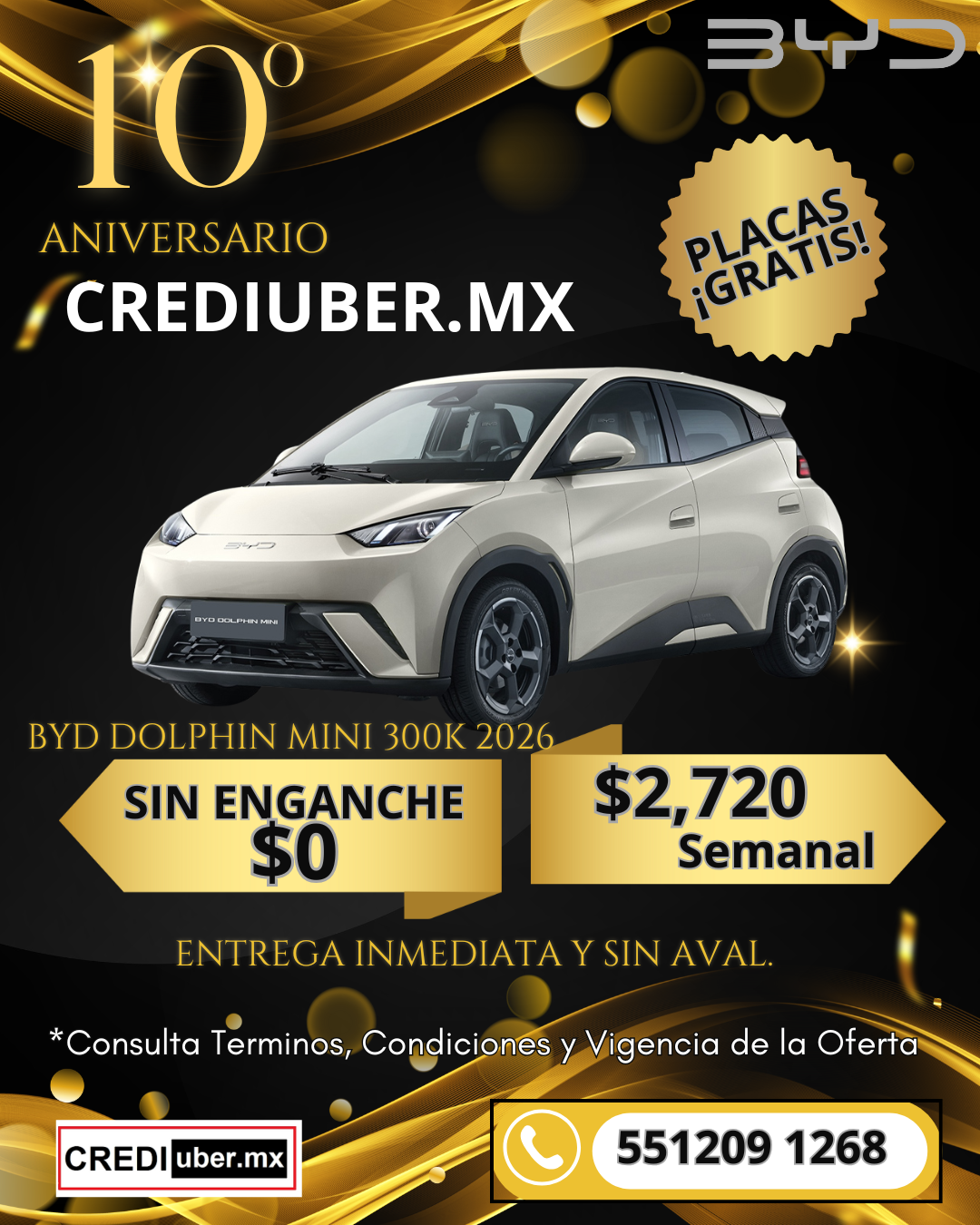 crediuber byd dolphin