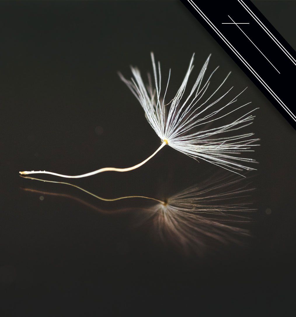 Bild von KatinkavomWolfenmond auf Pixabay