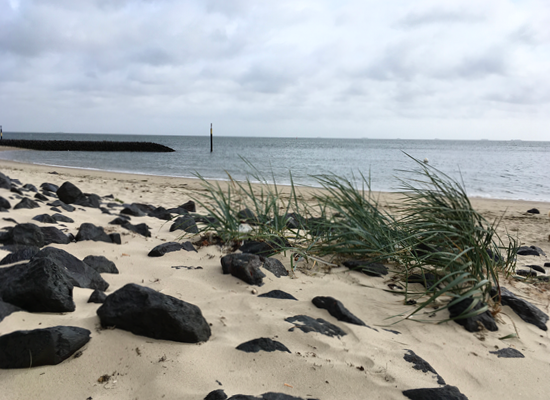 Raue Schönheit und Ruhe zugleich – entdecken Sie Föhrs wildere Seite, ideal für Ihren Inselurlaub im Haus Matthäus. Wilder Strand mit Gras und Steinen bei grauem, windigem Wetter – Föhrs Natur hautnah erleben.