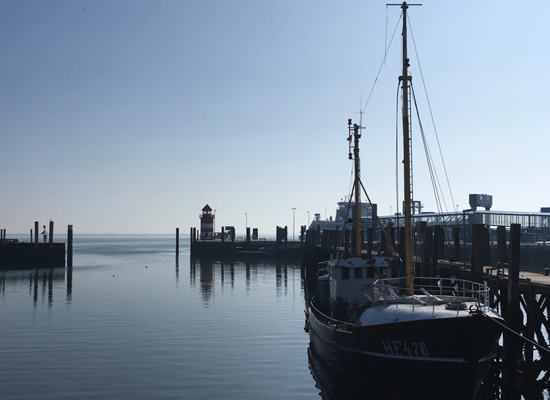 Vom Hafen ins Abenteuer: Unsere Ferienwohnungen sind Ihr Ausgangspunkt für unvergessliche Insel-Ausflüge und Erholung. Segelschiff im Hafen von Wyk auf Föhr – maritimes Flair nahe den Ferienwohnungen Haus Matthäus.