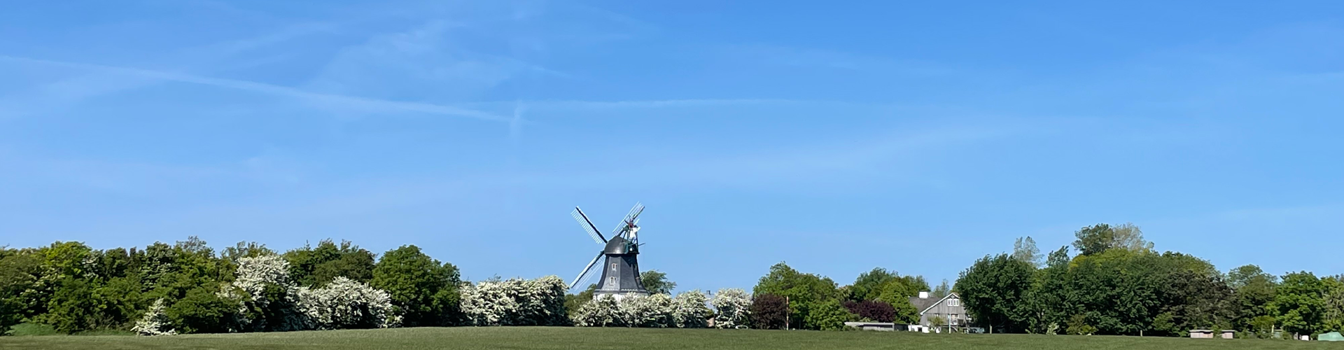 Ferien im Haus Matthäus in Wyk auf Föhr: Genießen Sie Ihren Urlaub in einer der drei charmanten Ferienwohnungen - in bester Lage: ruhig, idyllisch und zentral. Nur ein paar Minuten zum Strand. Blick über Feld zur Mühle.