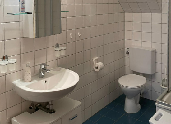 Eigenes geräumiges Bad mit WC und Dusche. Weiß gefliest.