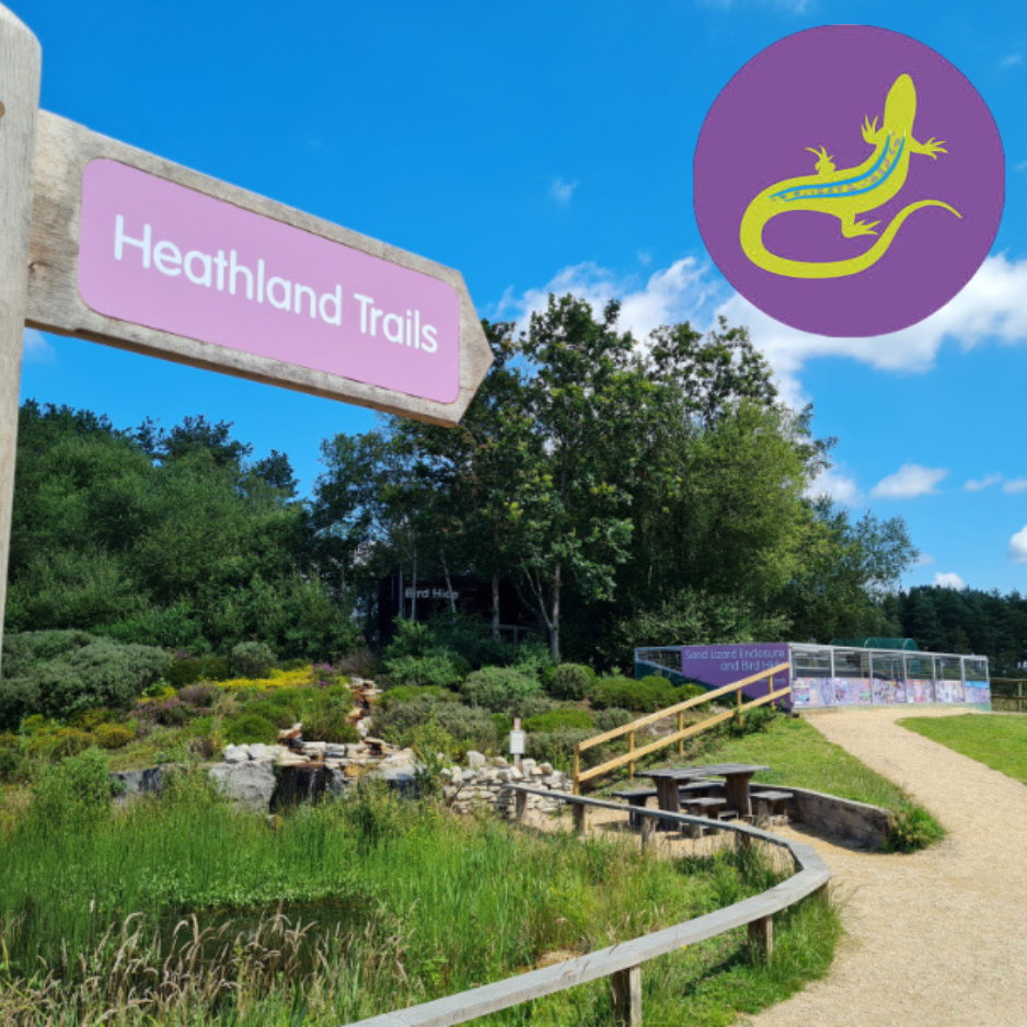 Avon Heath country park