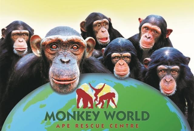 Money World. School Trip.