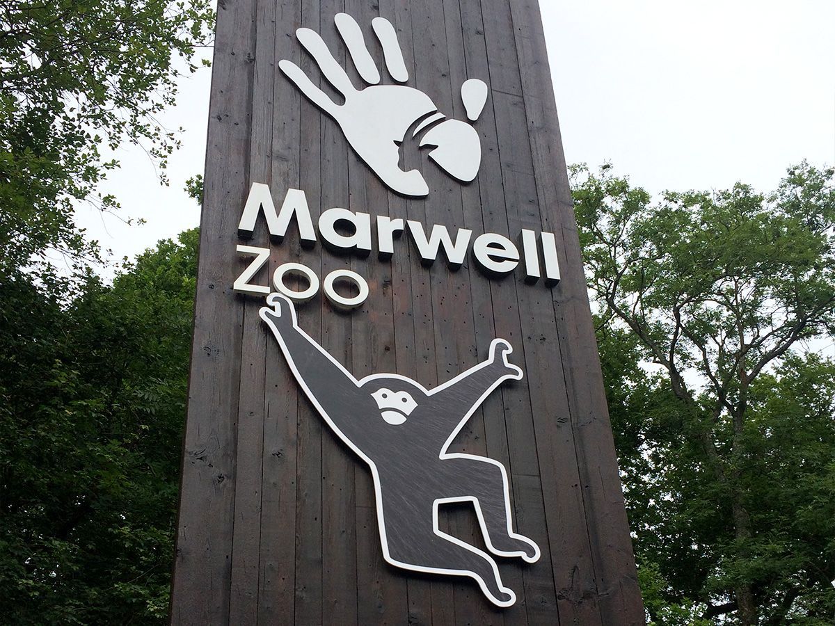 Marwell Zoo. School Trip.