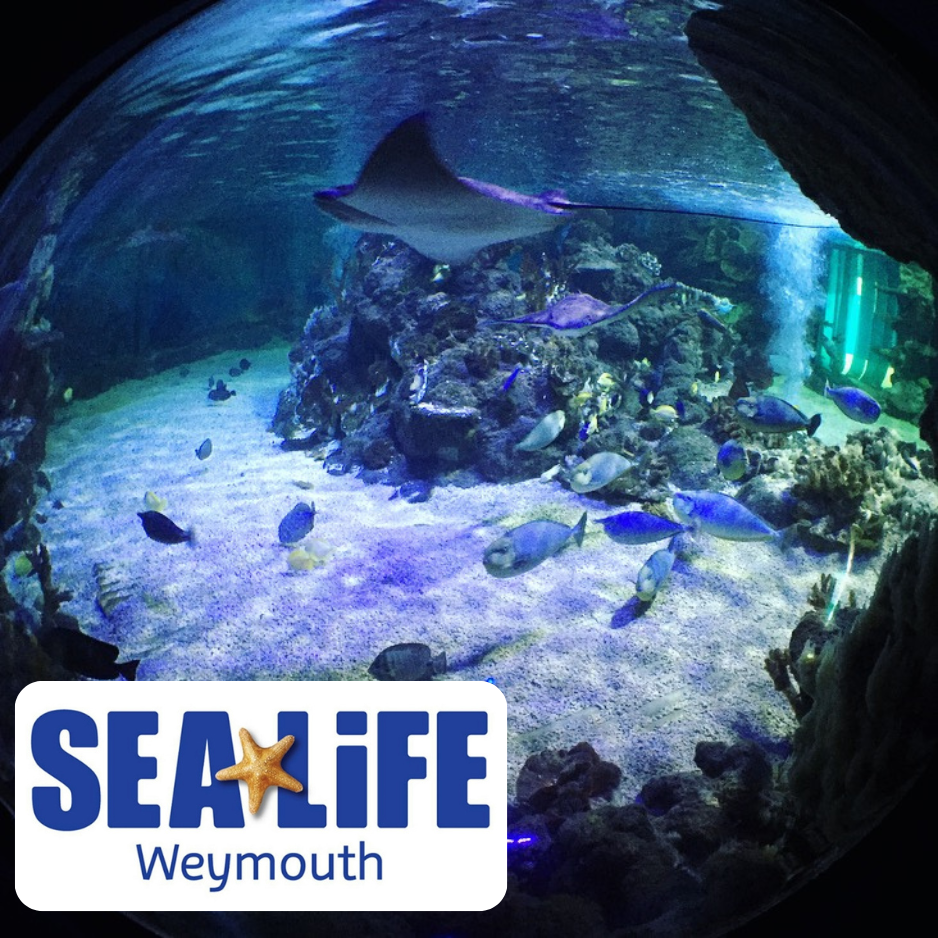 Sealife Centre. Weymouth. School Trip.