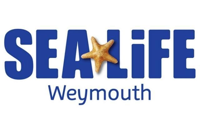 Sealife Centre. Weymouth. School Trip.