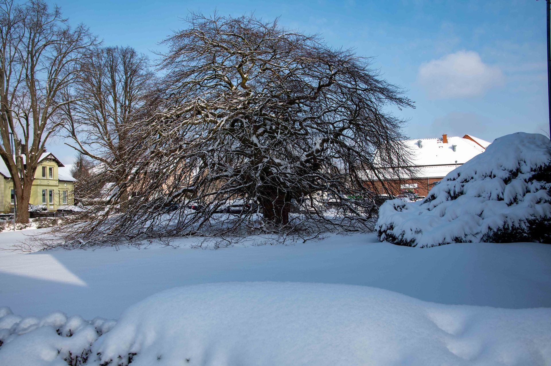 Bahnhofstraße Bad Münder 26.10.2024 Foto: Klaus D. Kemmerich