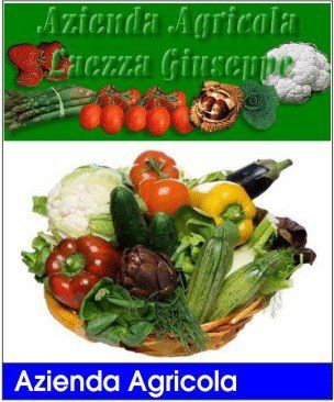 azienda agricola laezza prodotti della terra ortaggi pomodori