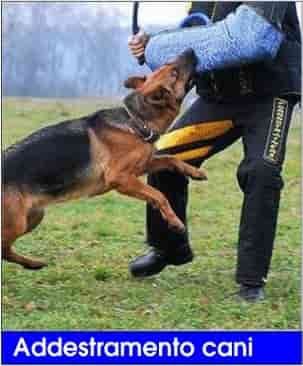 Lampadari applique, luci