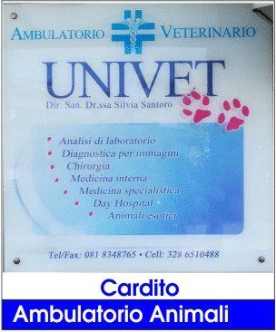 clinica veterinario univet cani gatti uccelli pesci