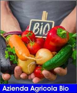 Pasticceria, torte, dessert, dolci, creps