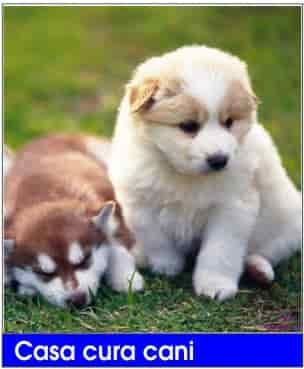 Mobilii antichi, antiquariato, antiques