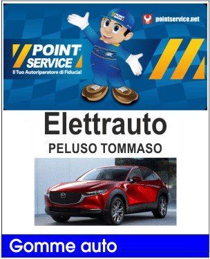 elettrauto peluso tommaso officina meccanica auto assistenza