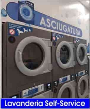 giardini, piante, progettazione