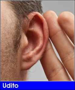 Gastronomie alimentari food