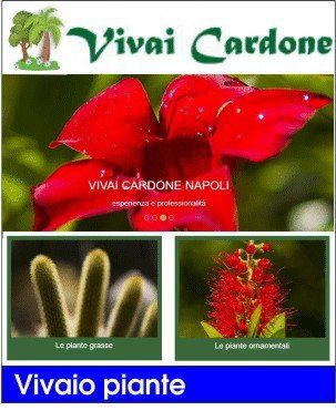 vivai cardone piante terriccio fiori piante grasse