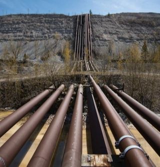 Dolly-Typen, Dollies mit 20 mm für kleinere Haftungswerte (hier abgebildet) und und 50 mm Durchmesser für Beton, mineralische Werkstoffe, Holz und Verbundwerkstoffe.