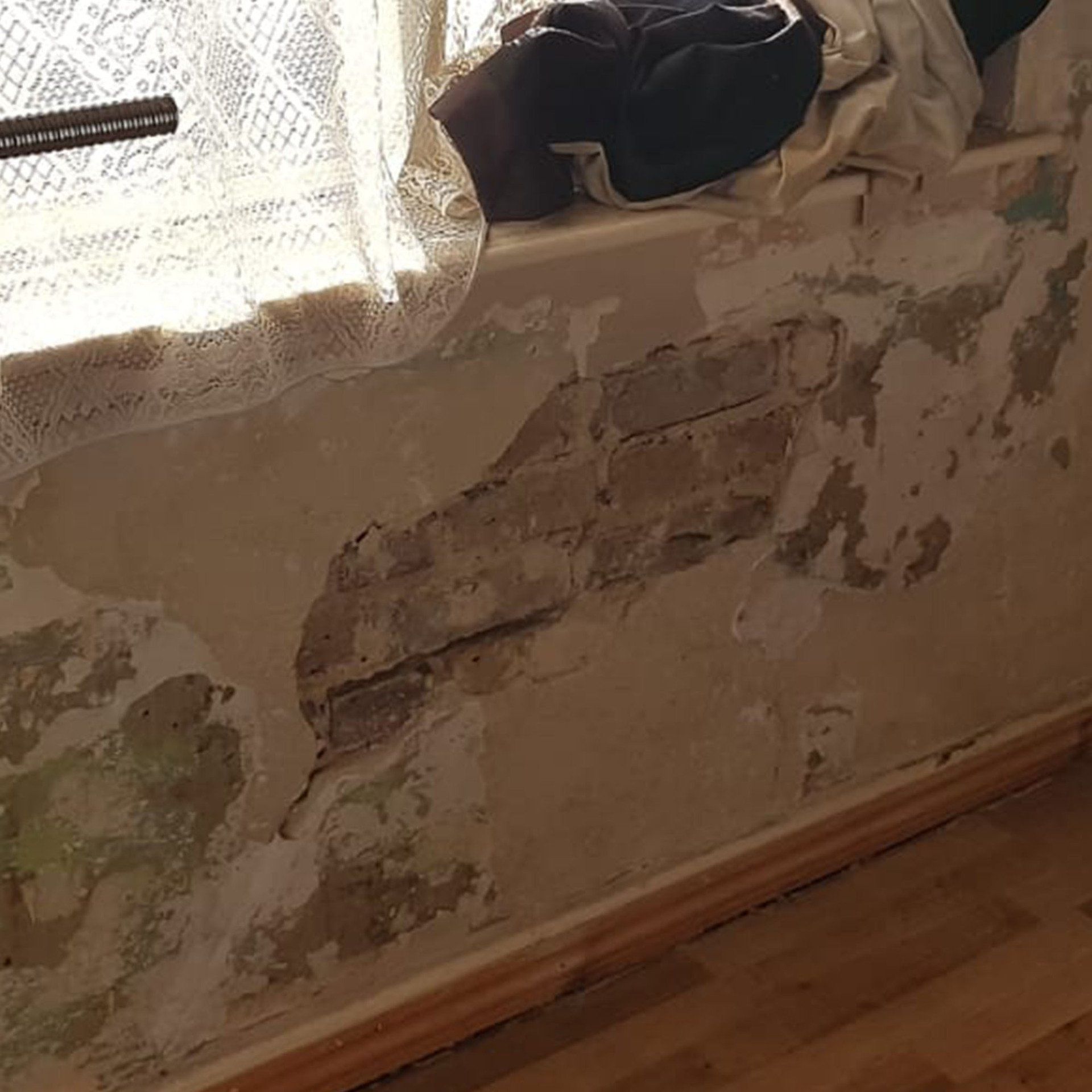 Living with Damp and Defective Plasterworks