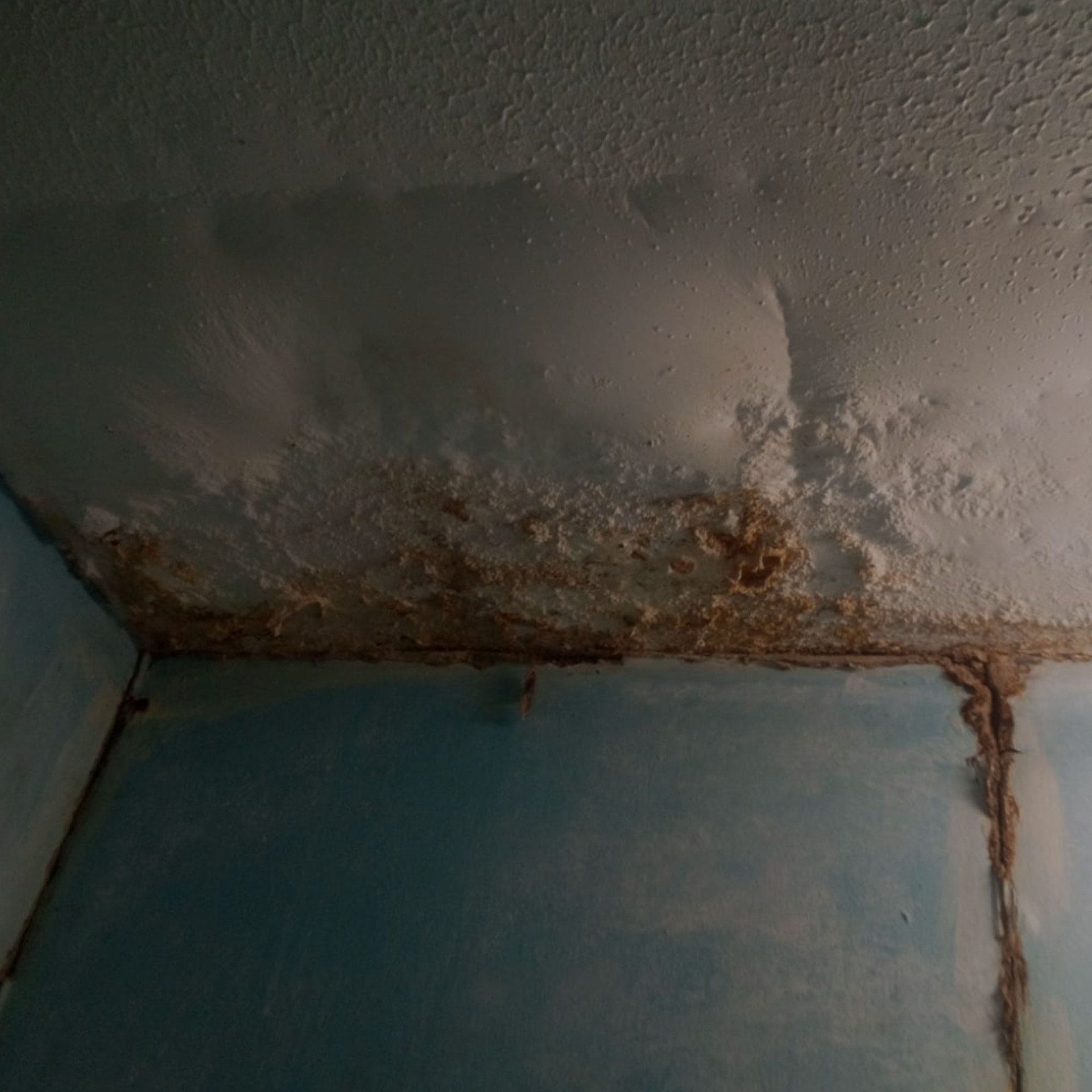 4 Years of Ongoing Water Leaks