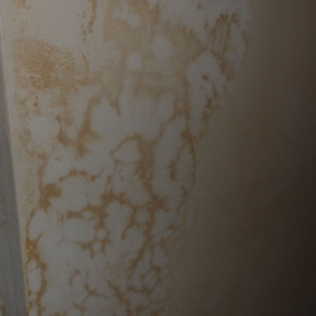 Living With Damp and Mould For 8 Years
