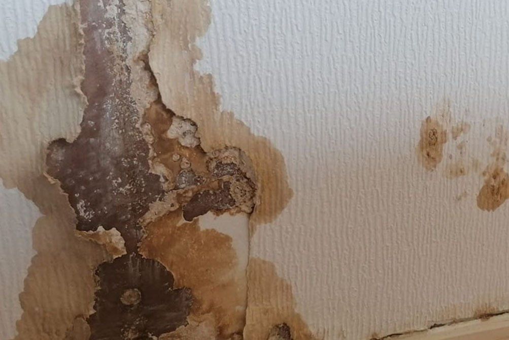 Lambeth Repairs Complaints