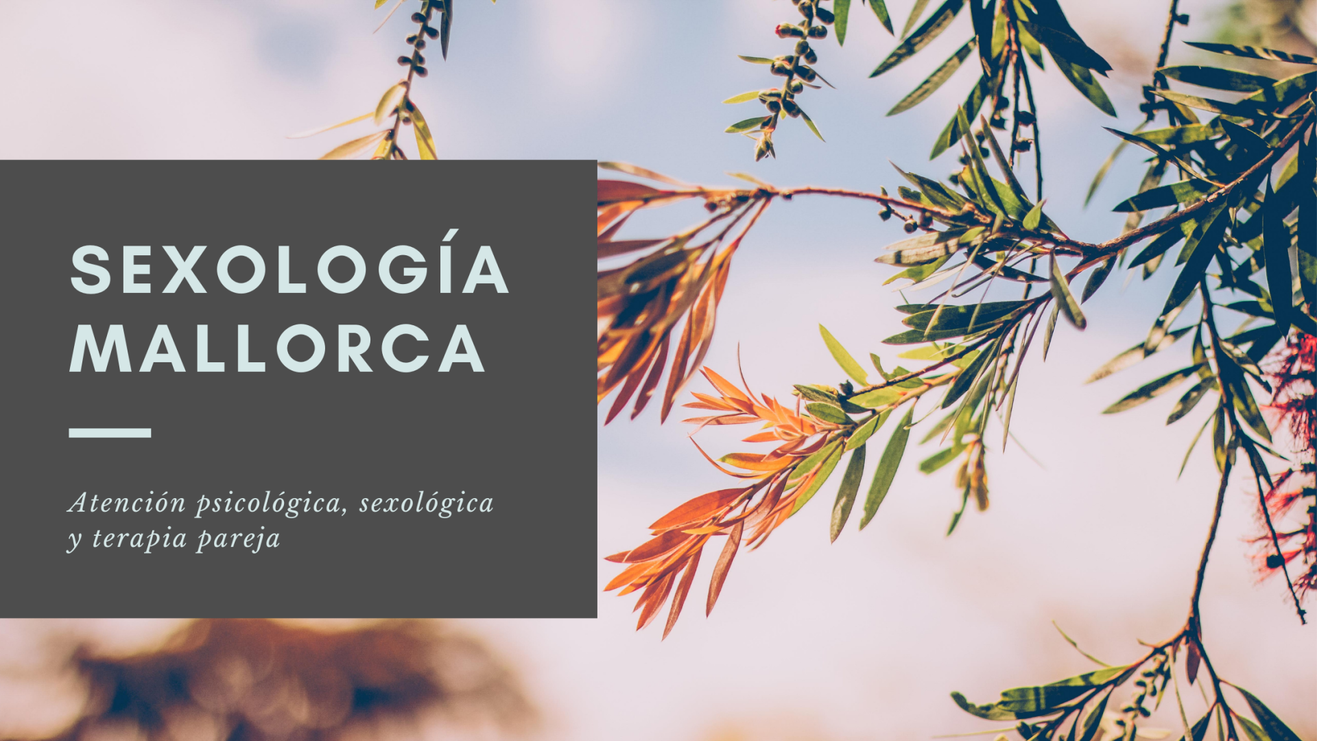 Sexóloga en Mallorca