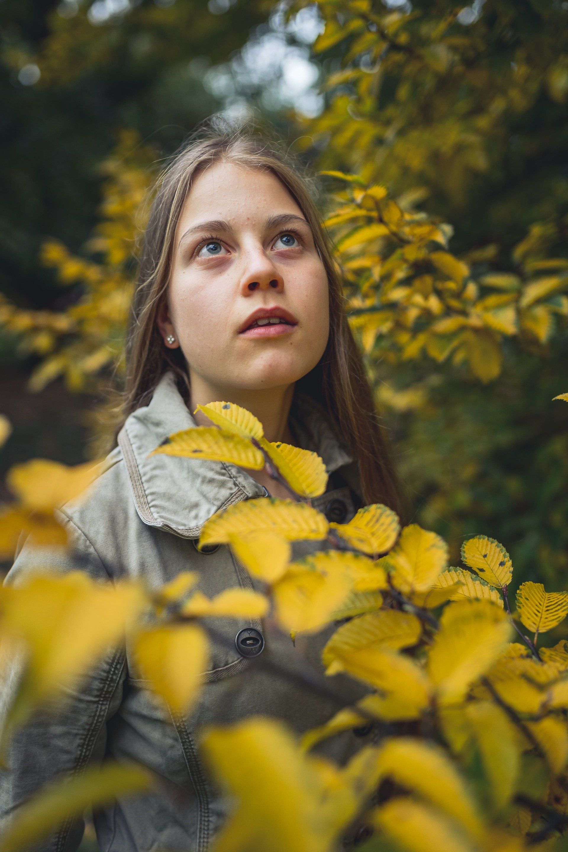 Bürgerpark Braunschweig Fotos