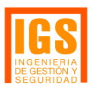 Ingenieria de Gestion y Seguridad-logo