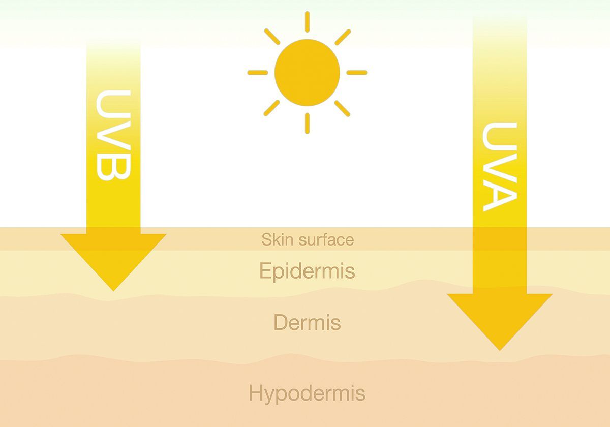 UVA und UVB – die unsichtbare Gefahr für Problemhaut und Faltenbildung Darstellung der UVA- und UVB-Strahlen, die unterschiedlich tief in die Haut eindringen – Grafik für Lichtschutz-Aufklärung