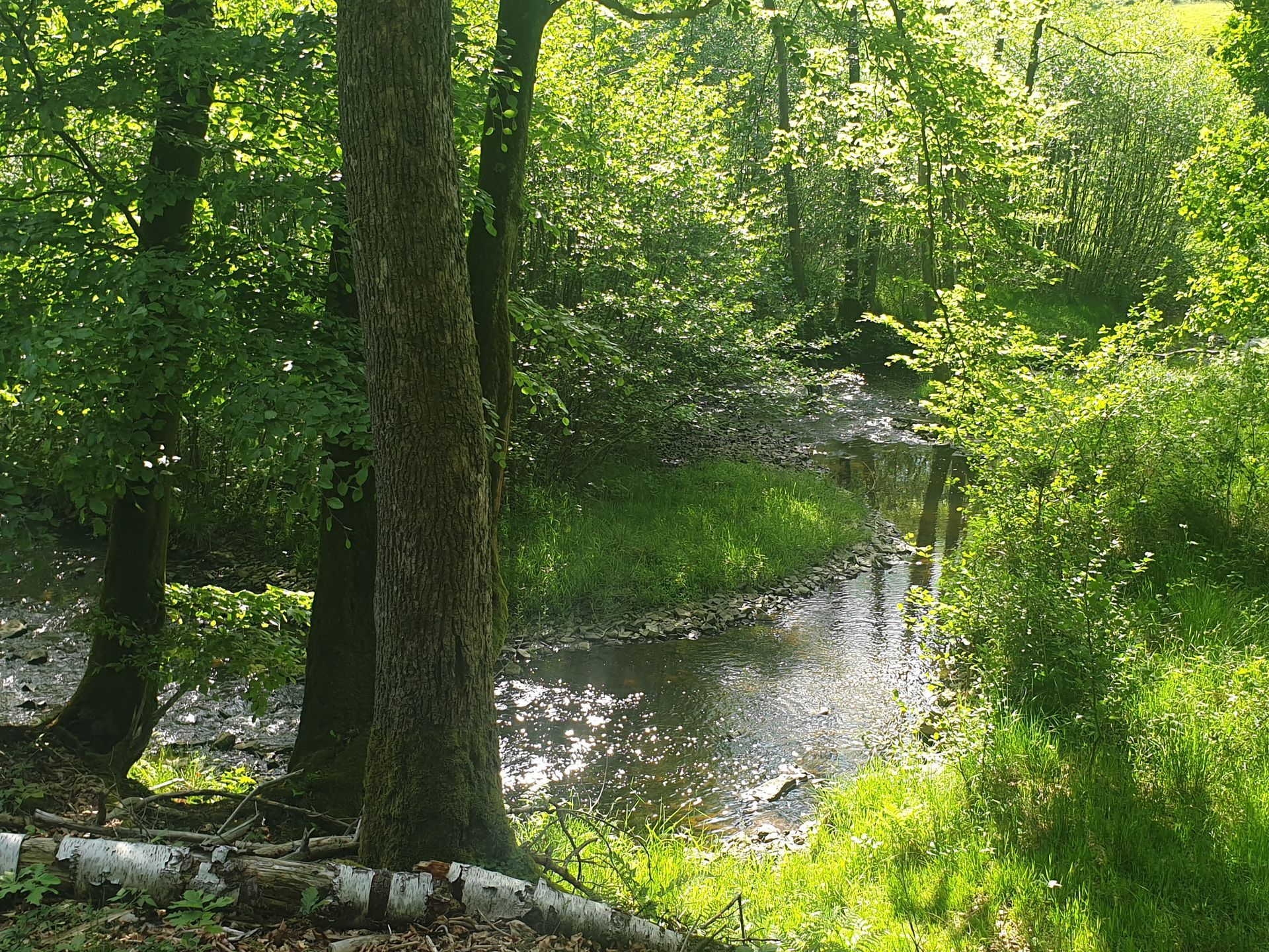 Idylle Der Hevefluss am Möhnesee