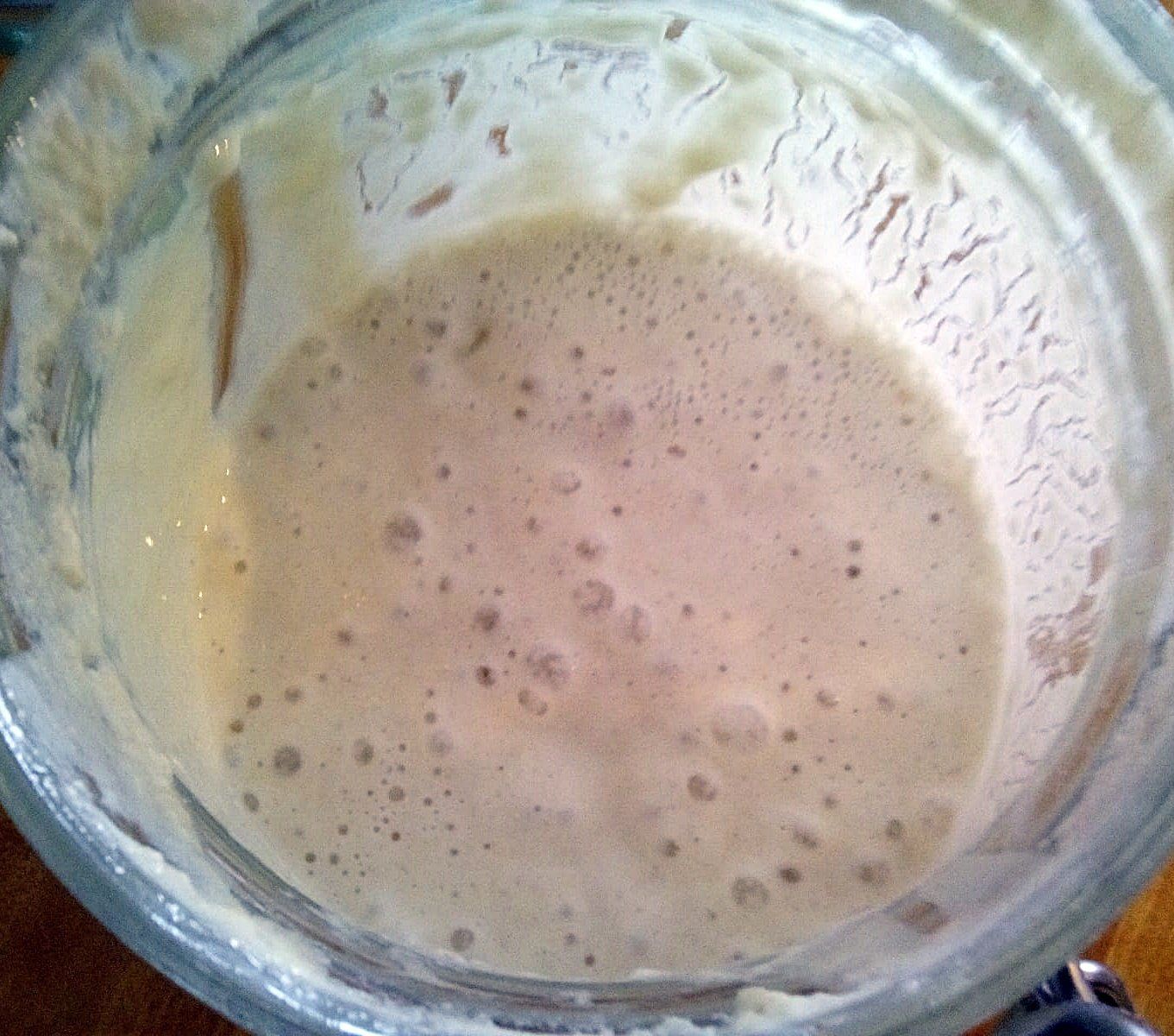 Na, das wird was... Sauerteigansatz am 2. Tag