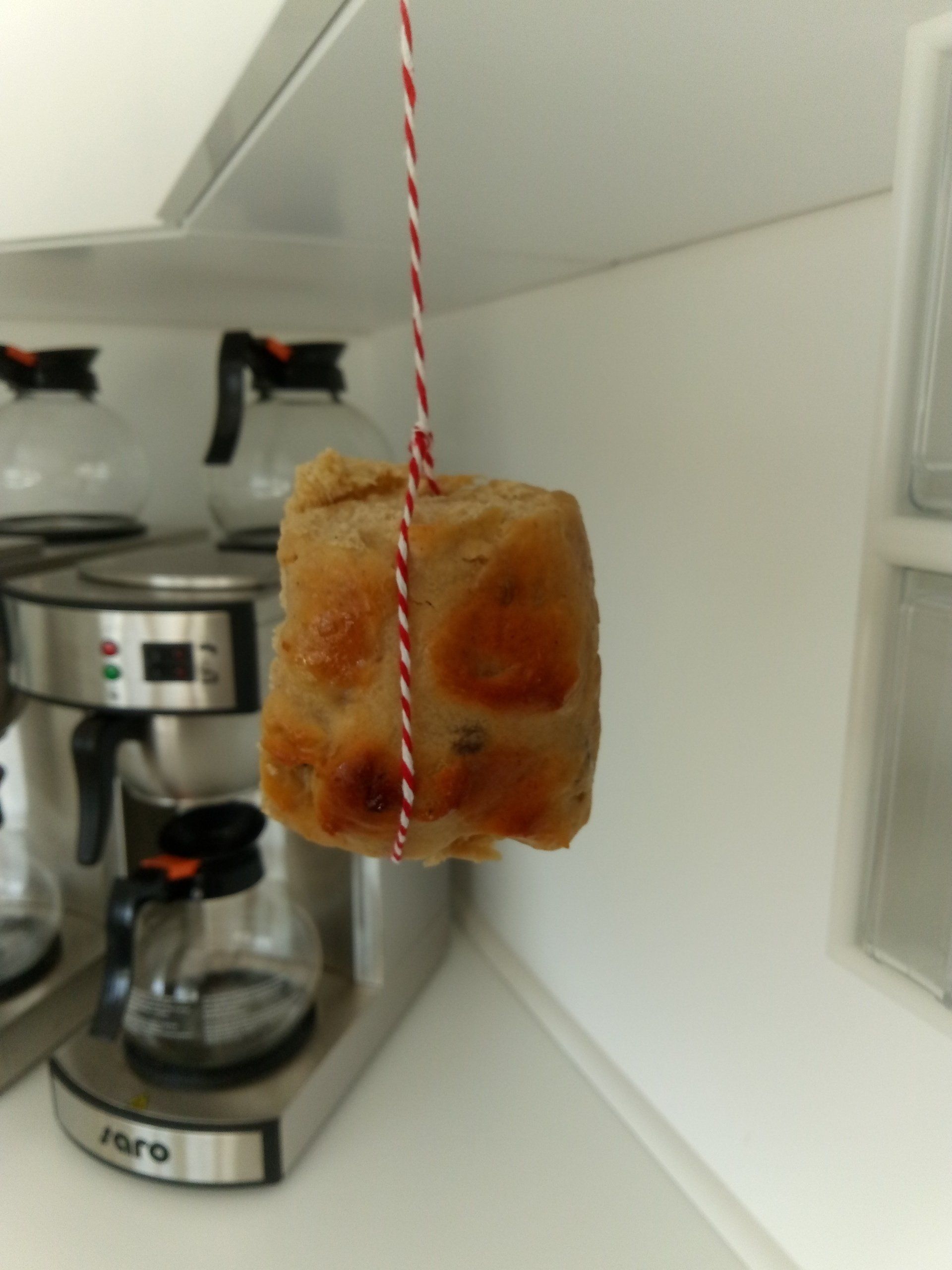 Hot Cross Bun in der Villa Regina