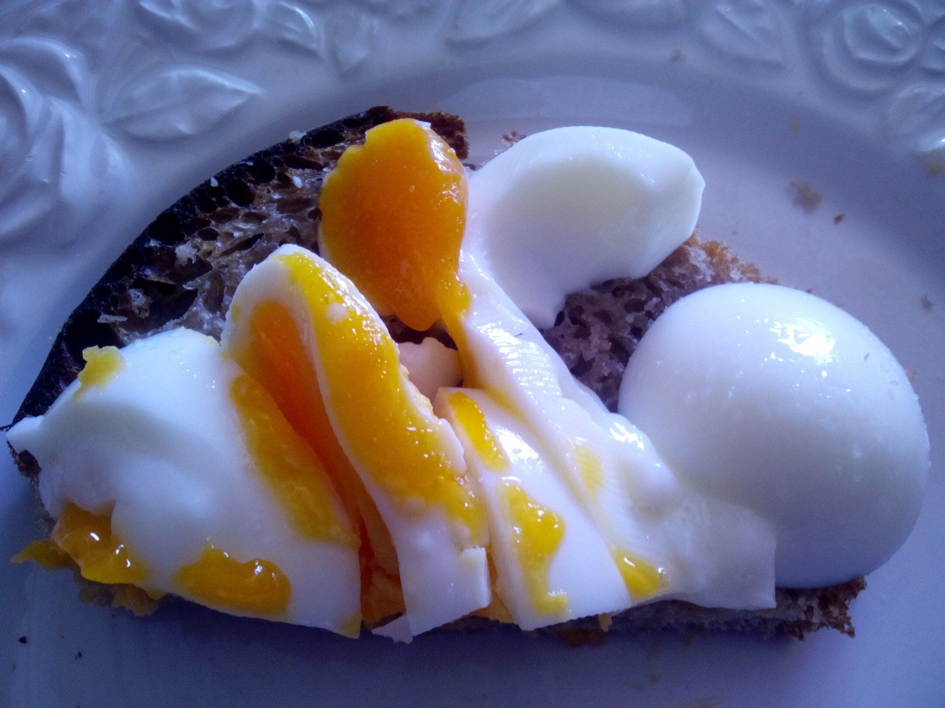 Ei auf Brot Ei auf Brot