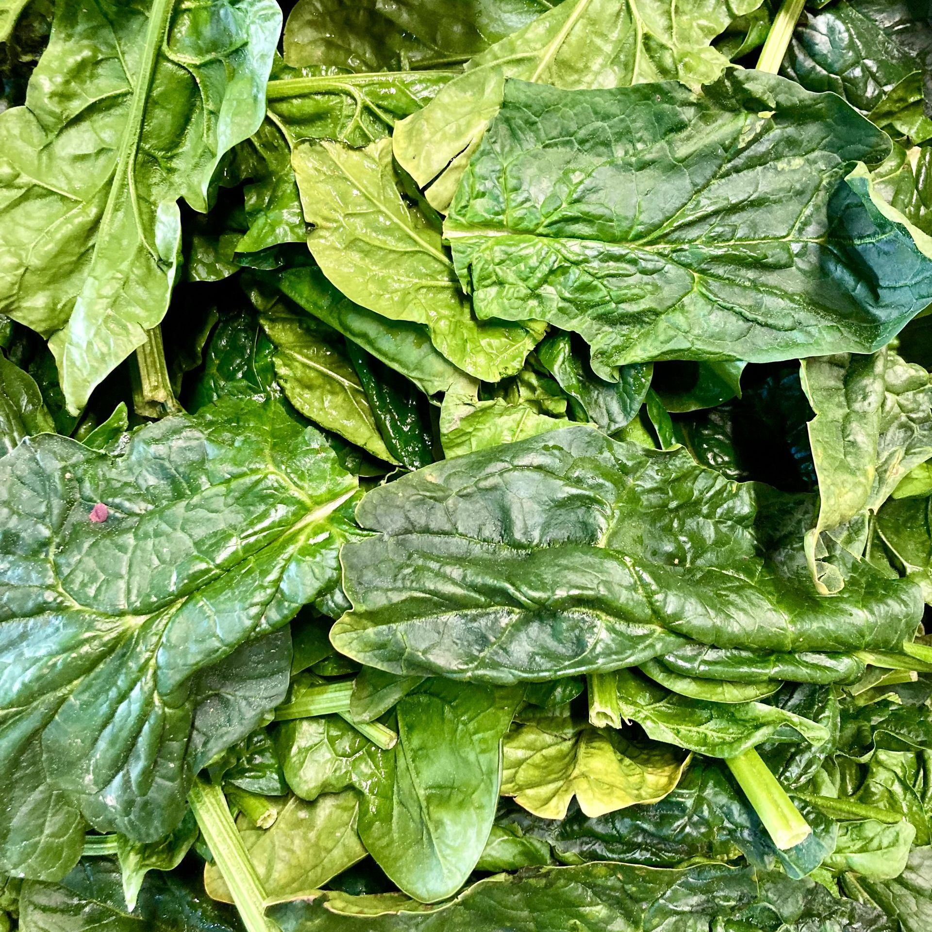 epinard magasin fermier local verger de foncoussieres